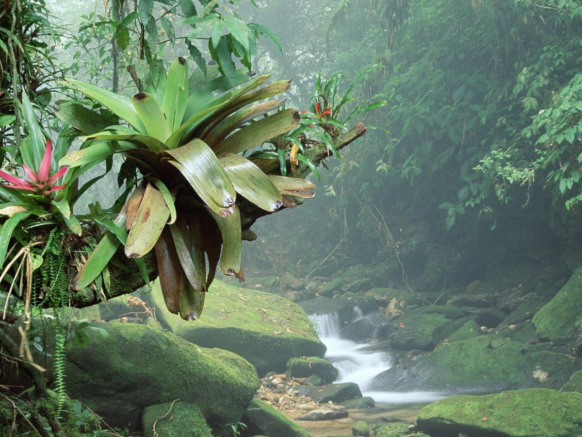 Imagen de viaje LAT.40