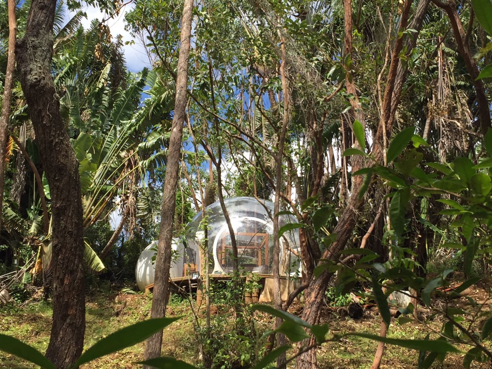Bubble Lodge Ile aux Cerfs en Isla Mauricio