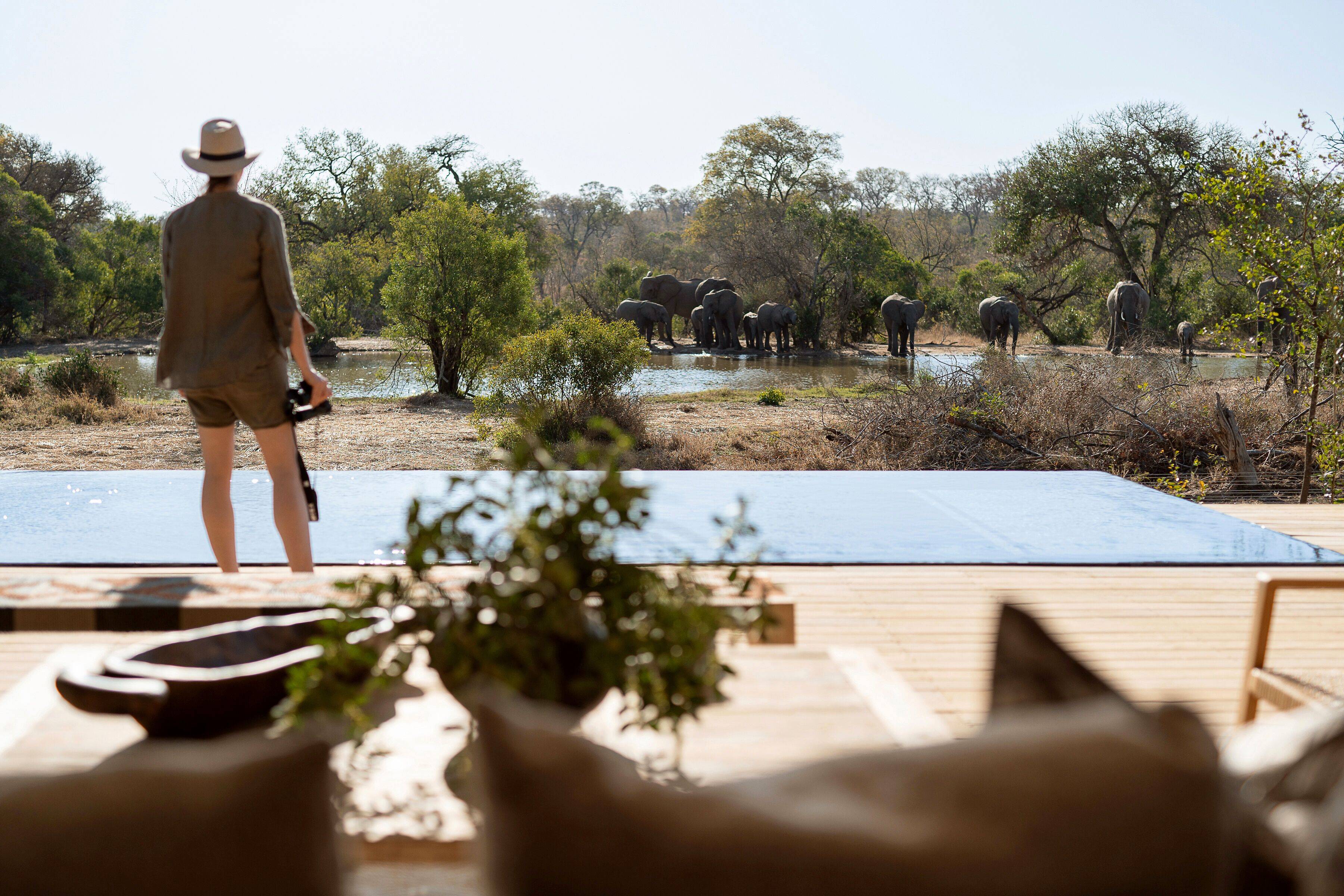 Exclusivo safari en Sudafrica y Mauricio diseñado por LAT.40