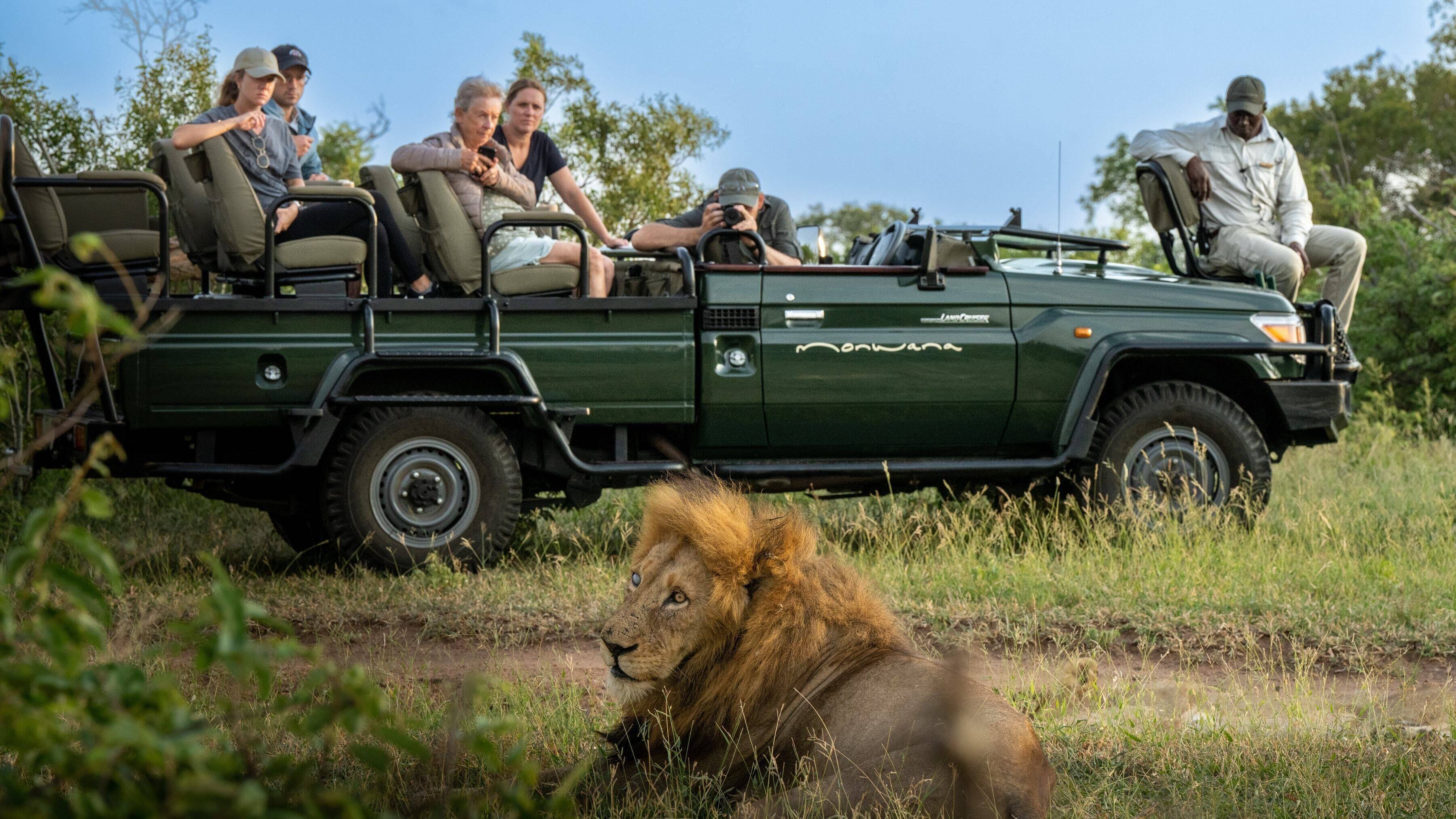Exclusivo safari en Sudafrica y Mauricio diseñado por LAT.40