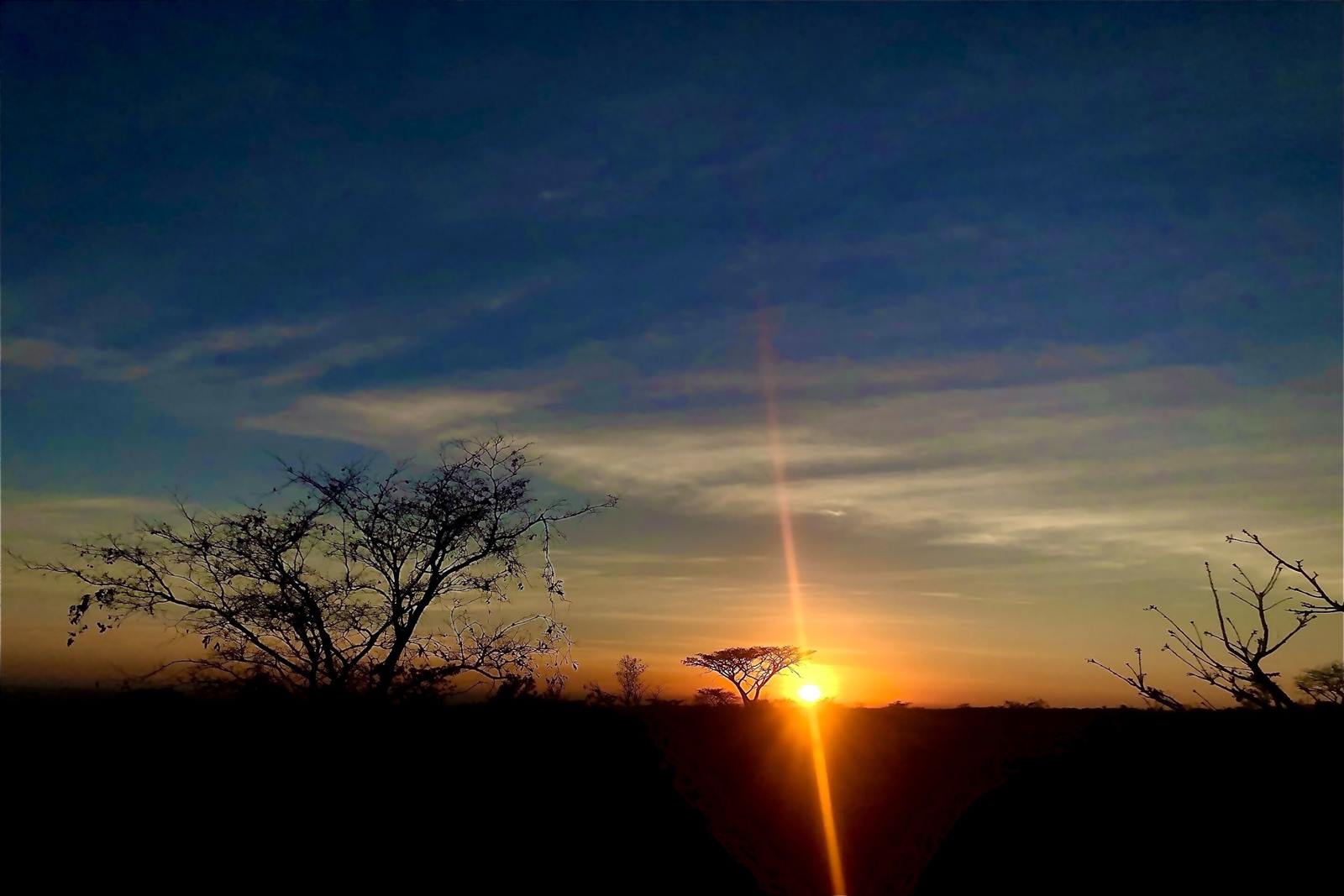 Nedile Lodge en The Waterberg