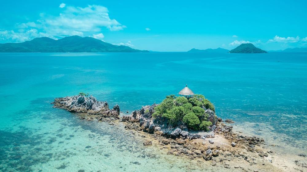 Flower Island en El Nido