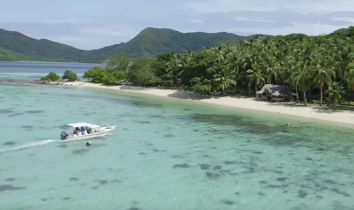 Flower Island en El Nido