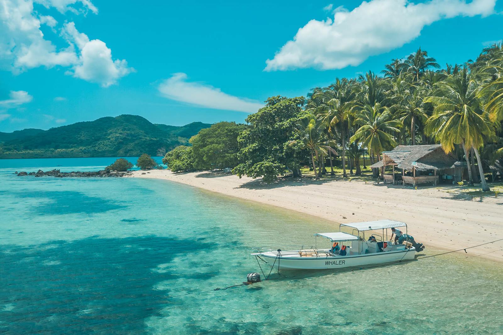Flower Island en El Nido