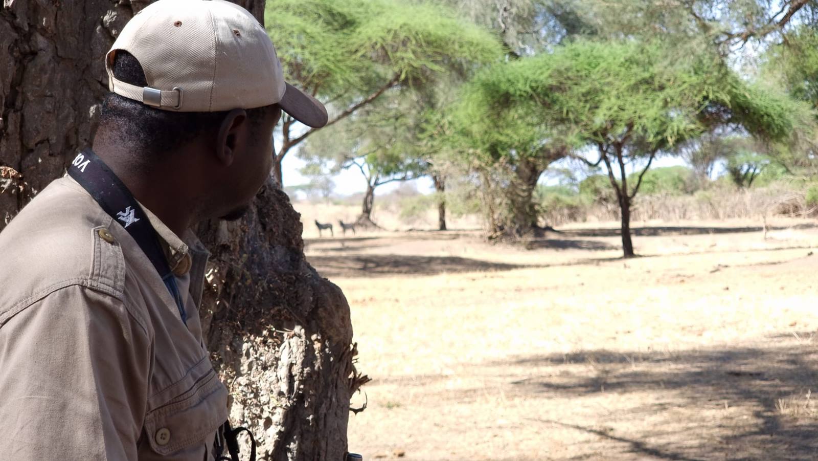 Ruaha