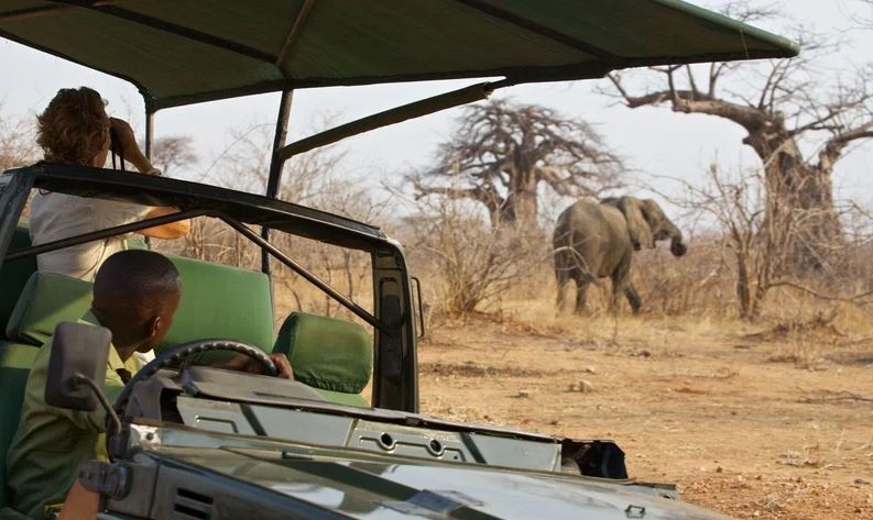 Ruaha
