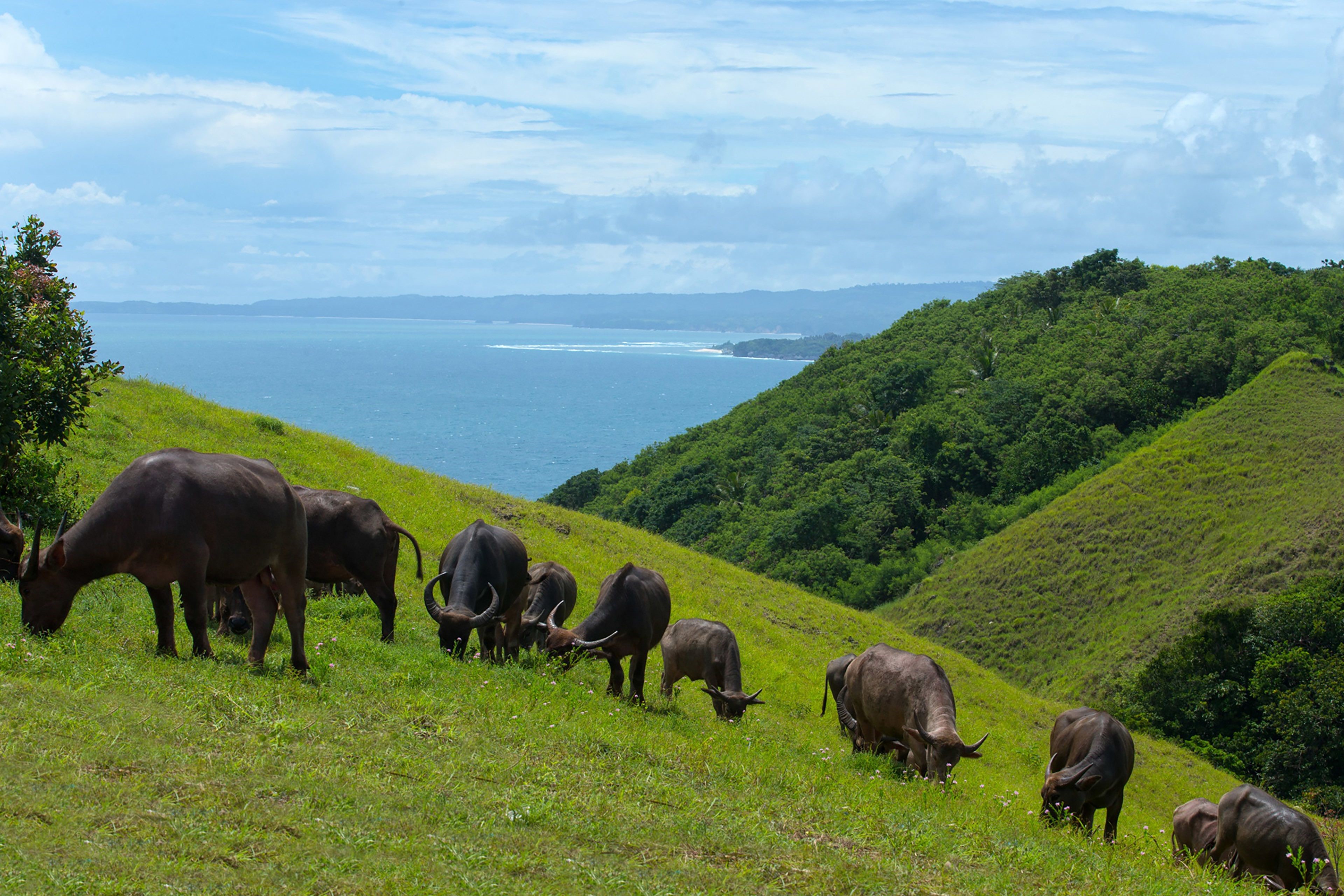 Lelewatu Resort Sumba en Sumba Island