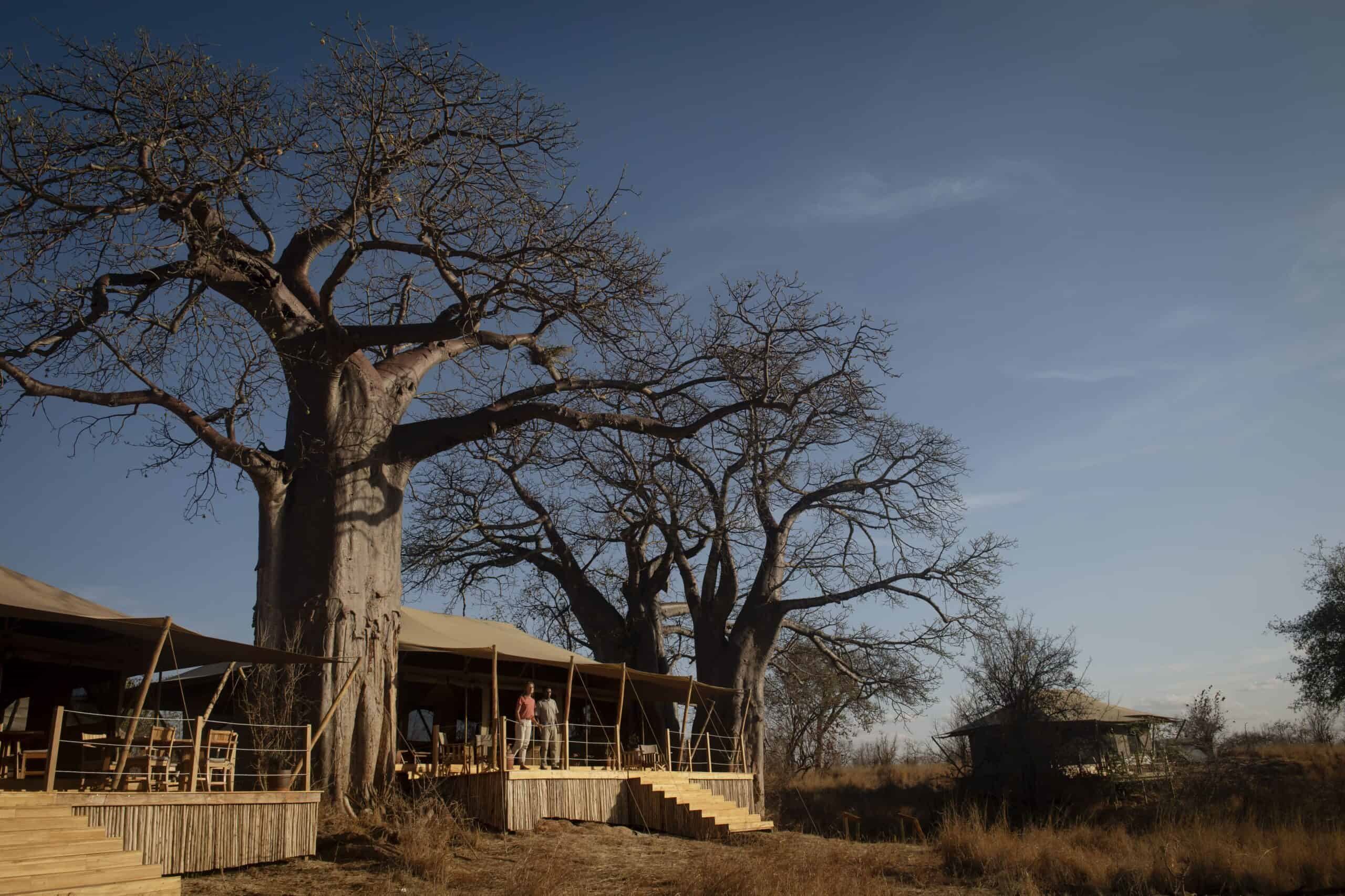Olkeri Camp en Tarangire