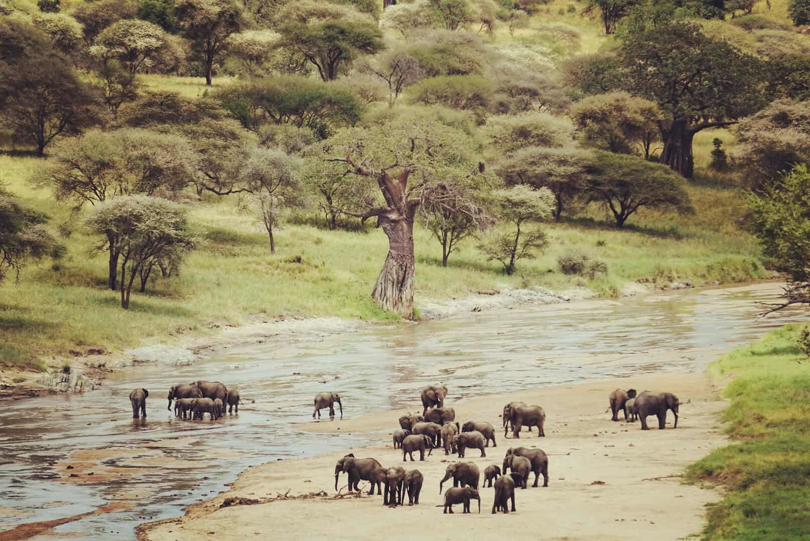 Olkeri Camp en Tarangire