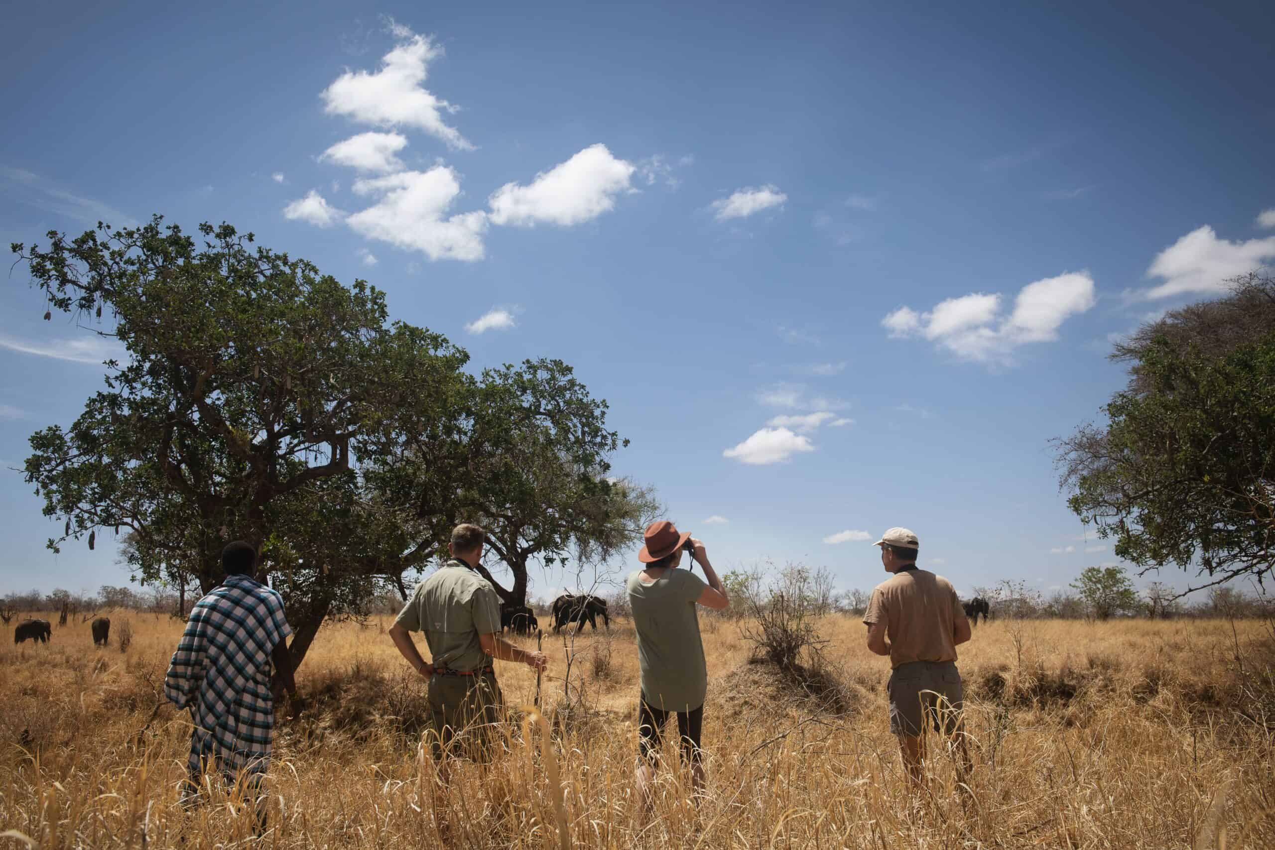 Olkeri Camp en Tarangire