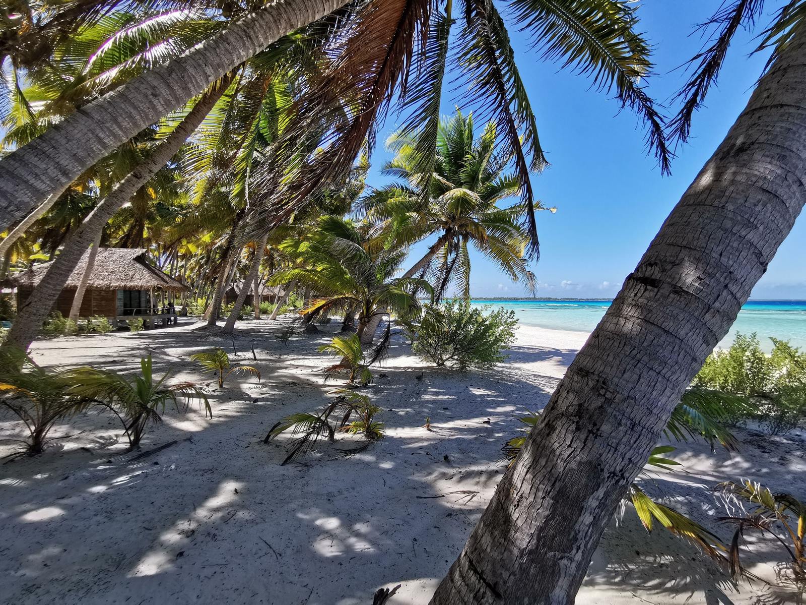 Aotera Guest House en Tikehau