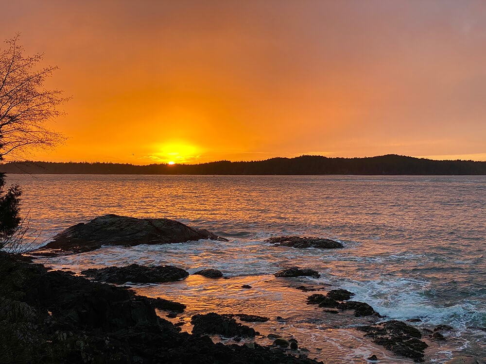 Duffin Cove Oceanfront Lodging en Tofino