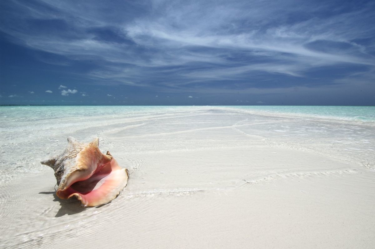Pine Cay Private Island en Turks and Caicos Islands