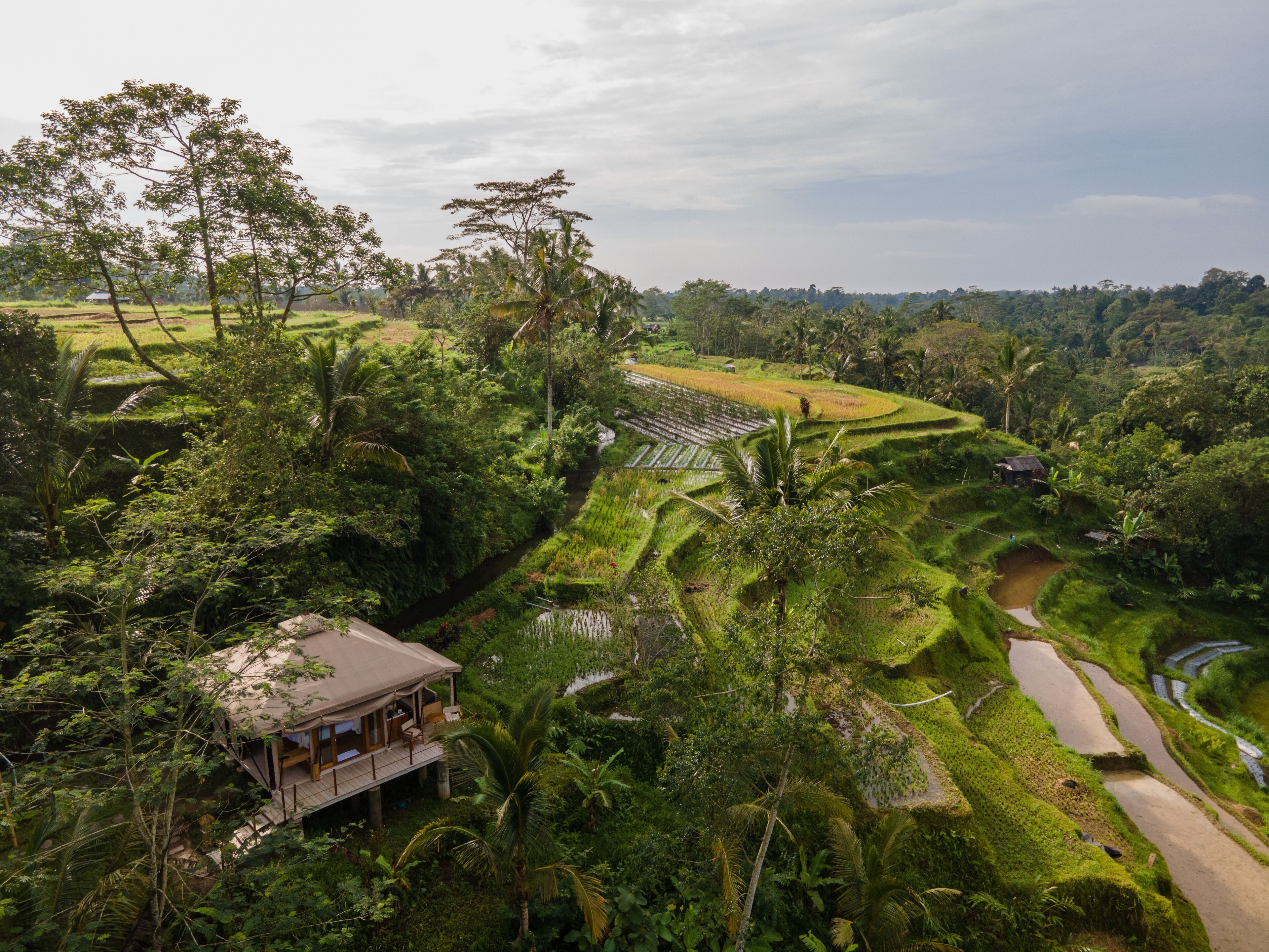 Nadi Nature Resort en su destino