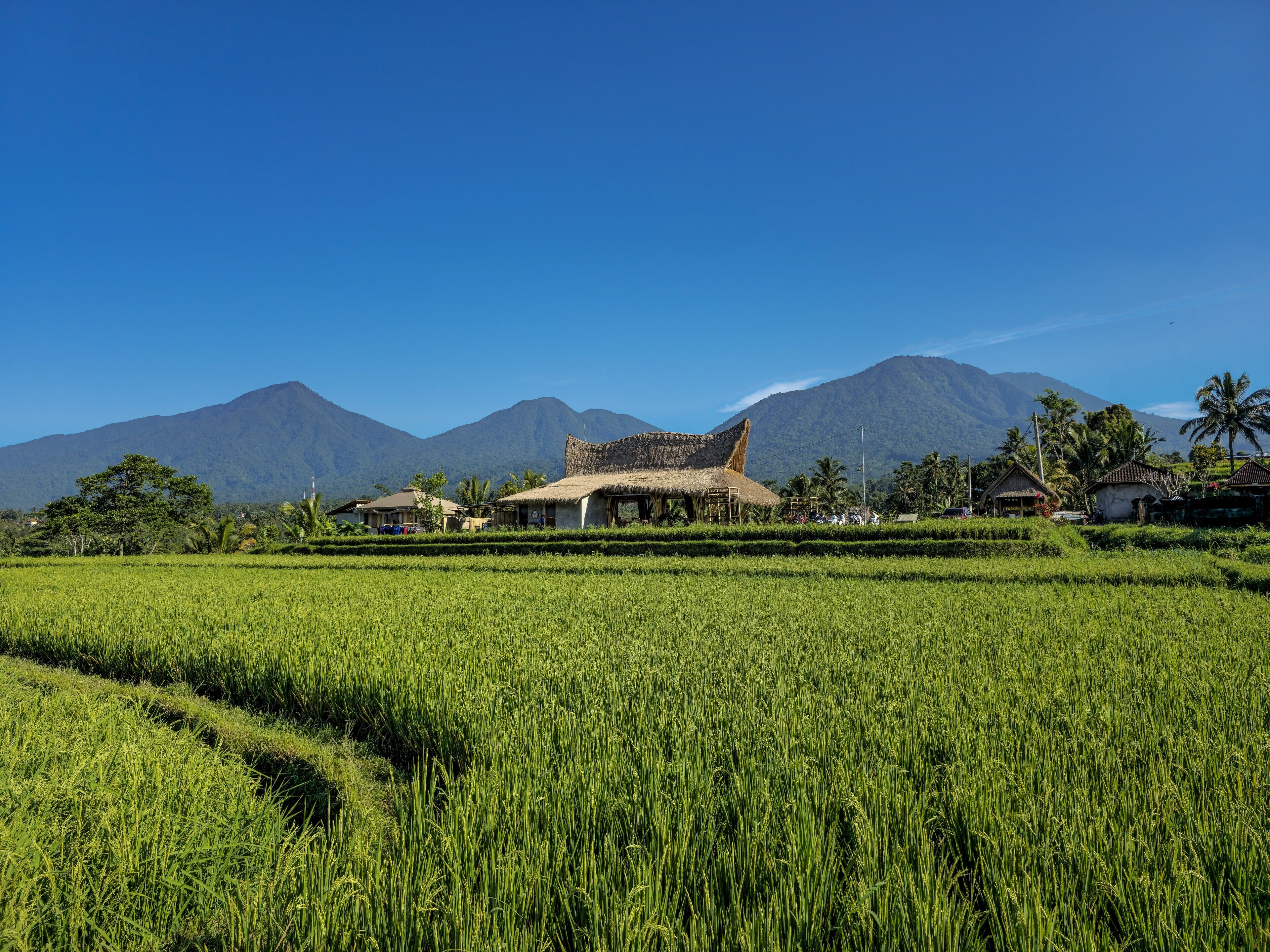 Nadi Nature Resort en Ubud