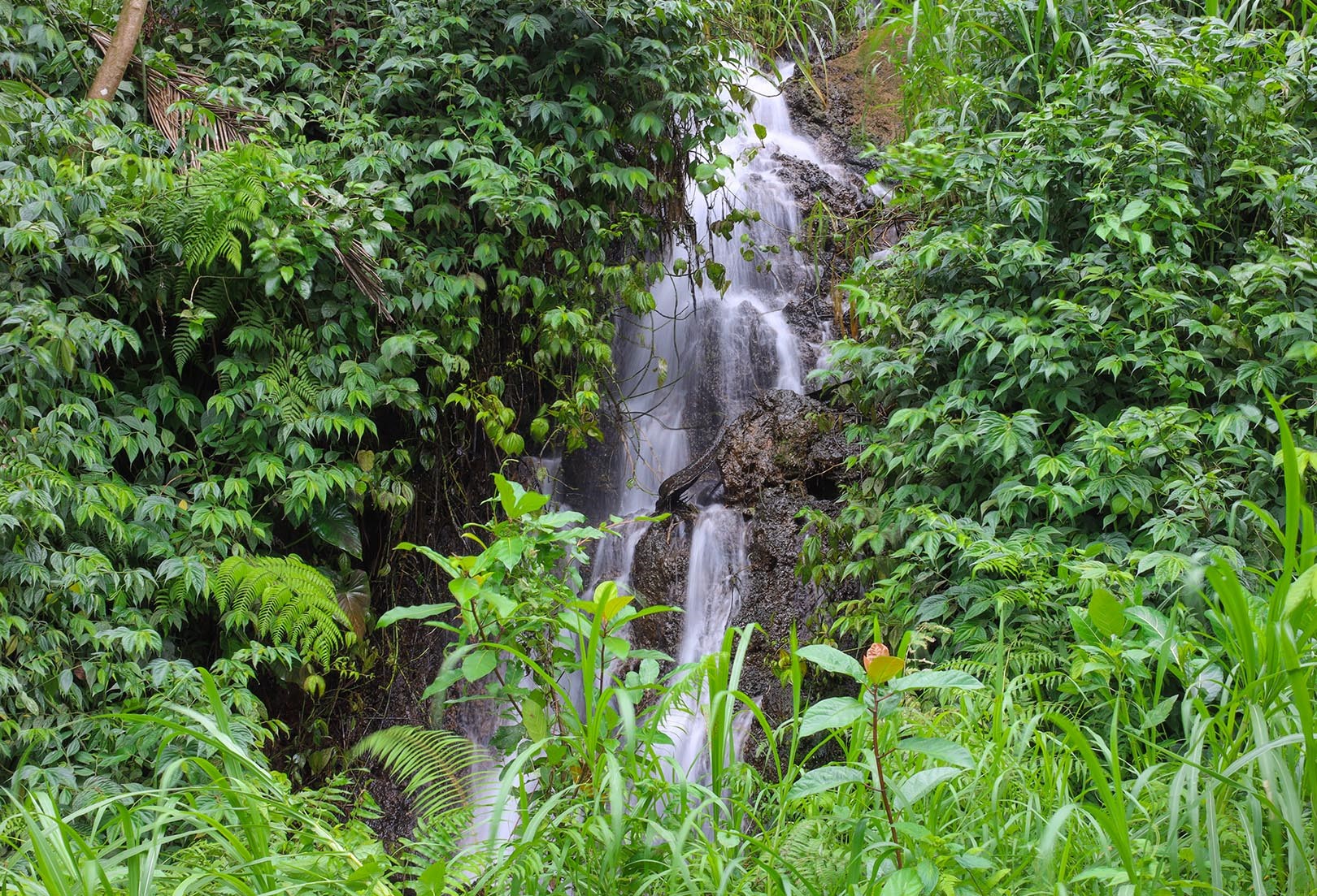 Nadi Nature Resort en Ubud