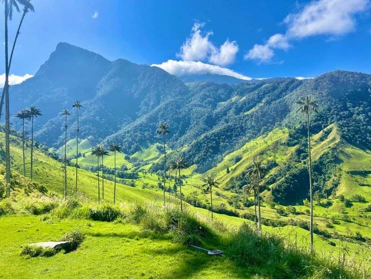 Valle de Cocora | LAT.40