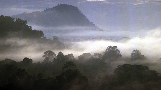 Valle de Cocora | LAT.40