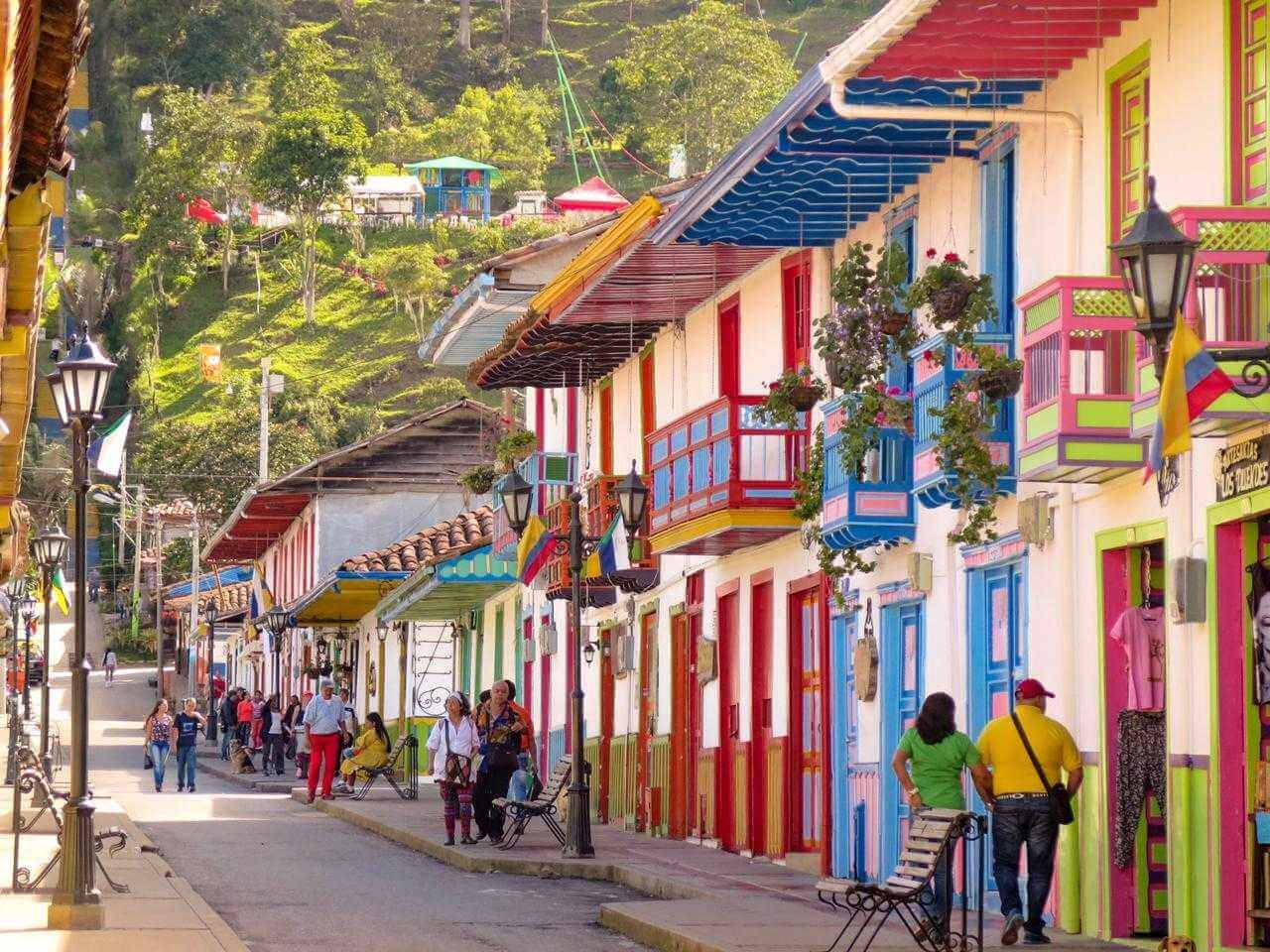Valle de Cocora | LAT.40