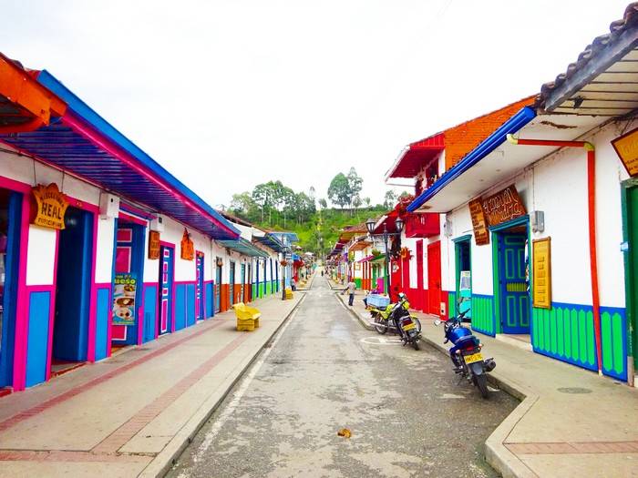 Valle de Cocora | LAT.40