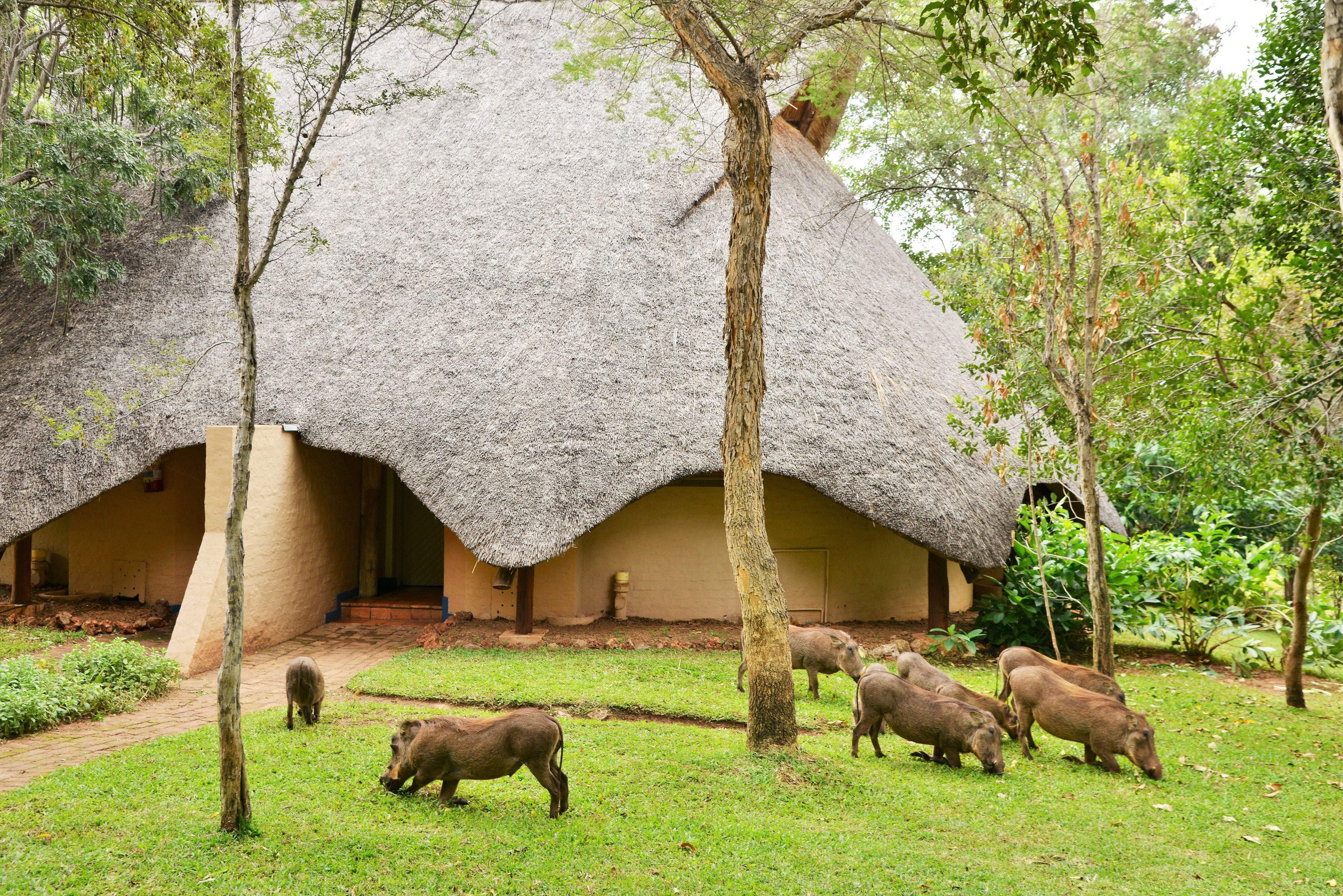 Lokuthula Lodges en Victoria Falls