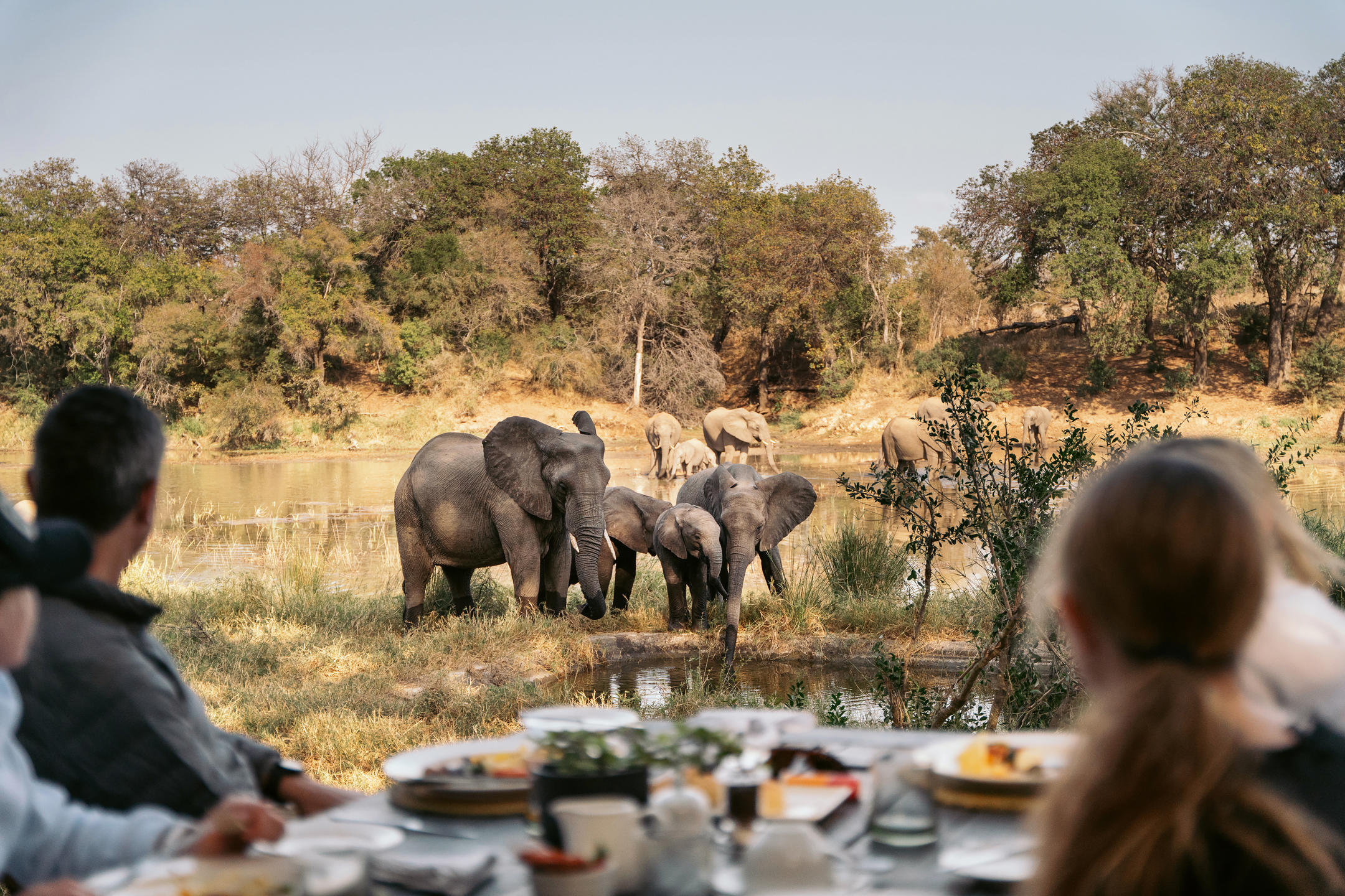 Ngala Private Game Reserve