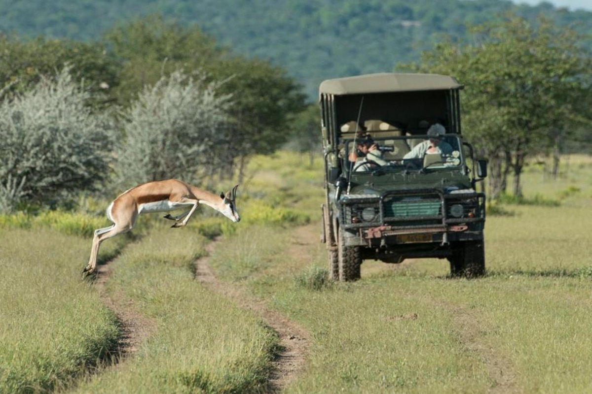 Little Ongava  en Etosha Parque Nacional 