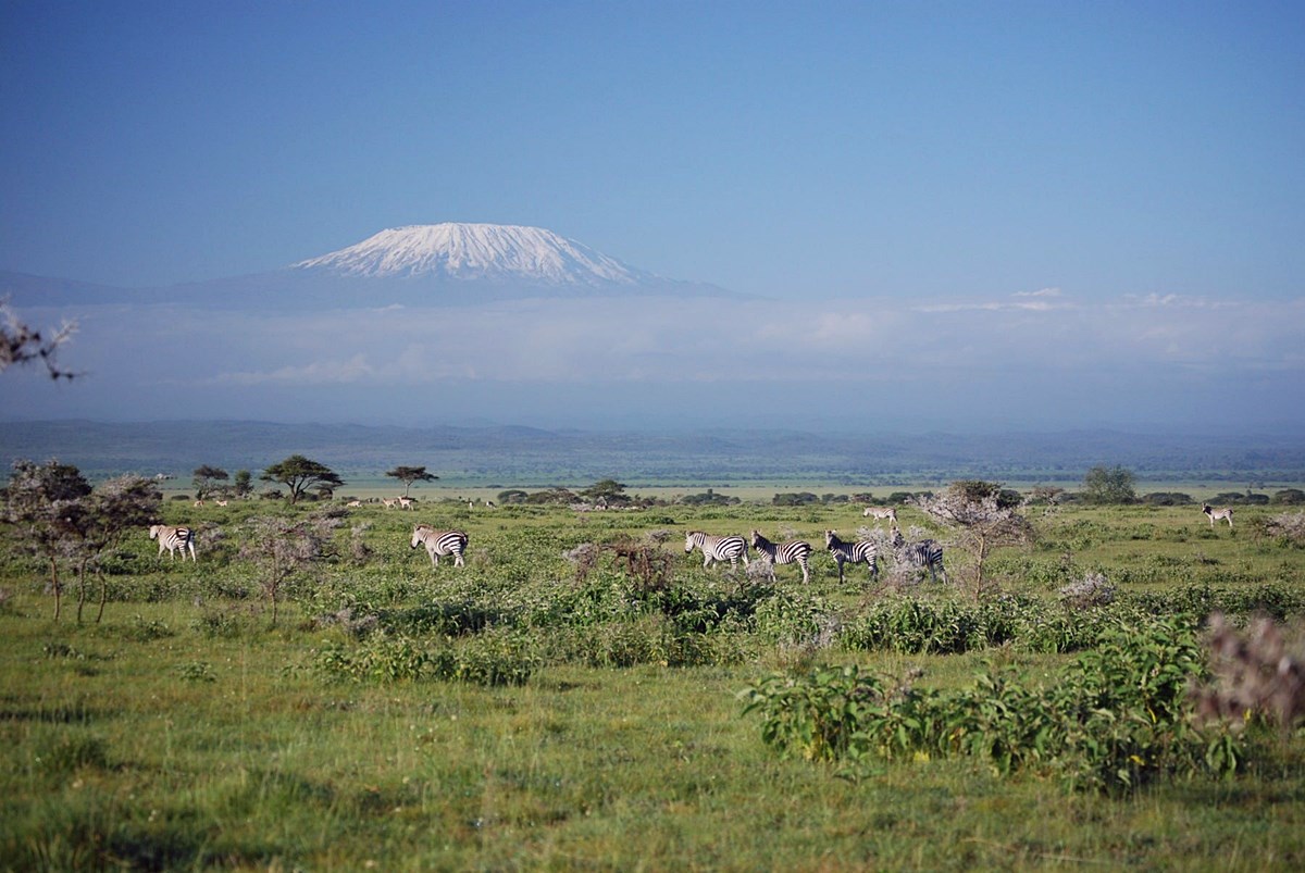 Campi Ya Kanzi en Amboseli