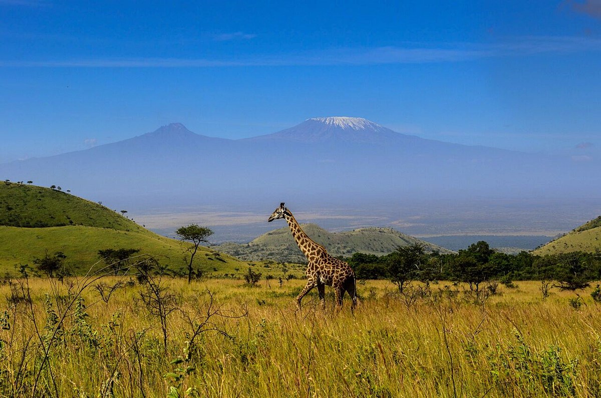 Campi Ya Kanzi en Amboseli