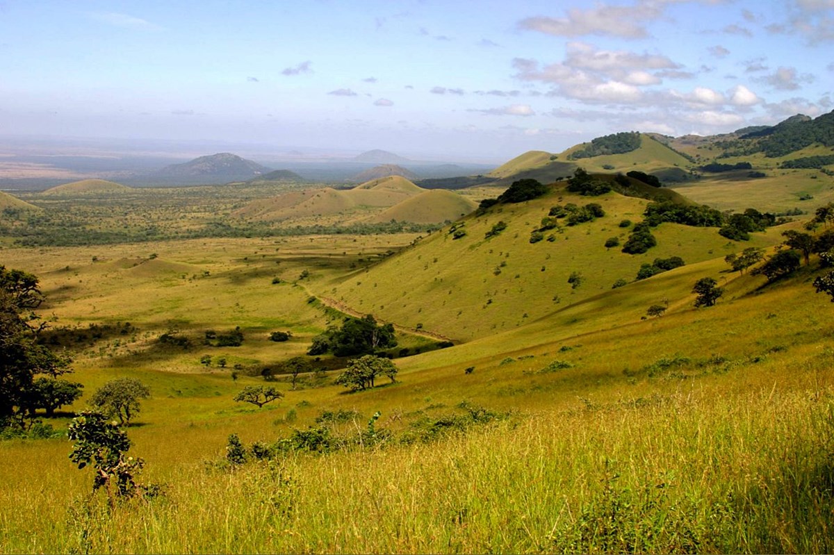 Campi Ya Kanzi en Amboseli
