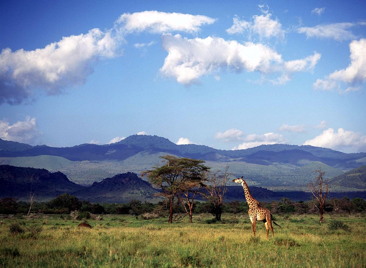 Campi Ya Kanzi en Amboseli