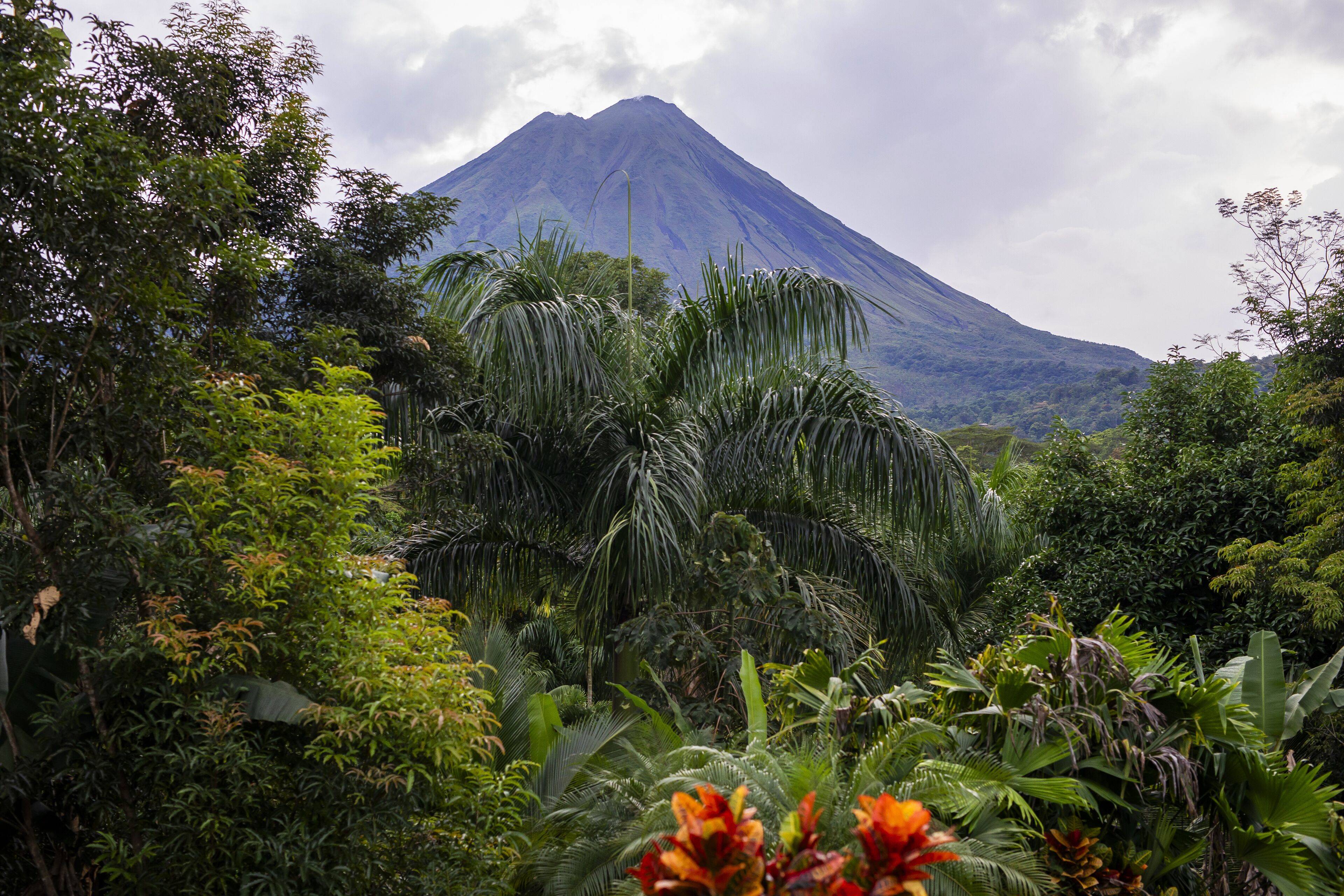 Arenal Manoa & Hot Springs Resort en Arenal