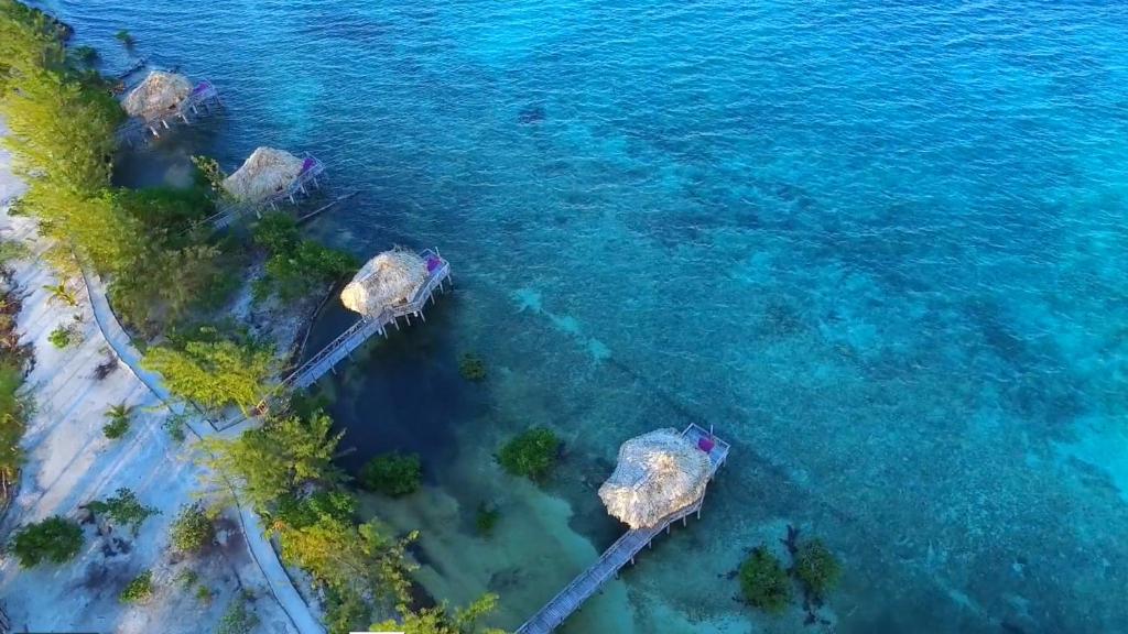 Thatch Caye Resort en Belize