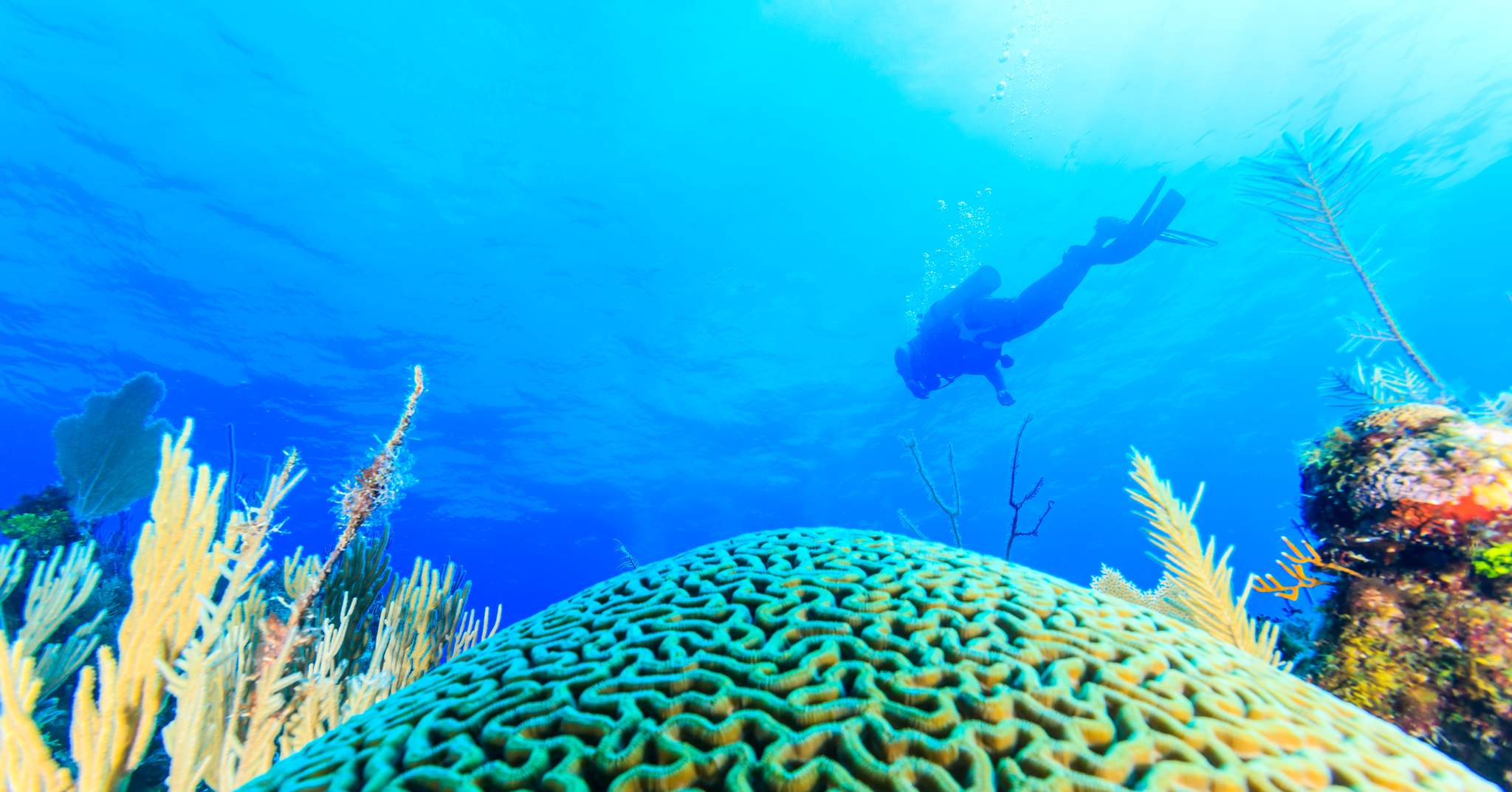 Thatch Caye Resort en Belize
