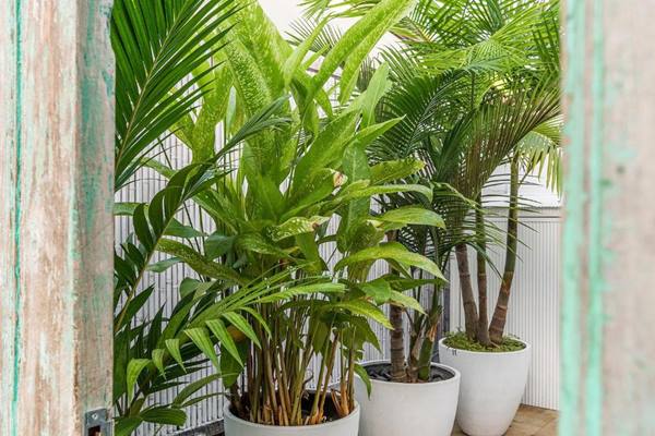 Azur Villas Byron Bay en Byron Bay