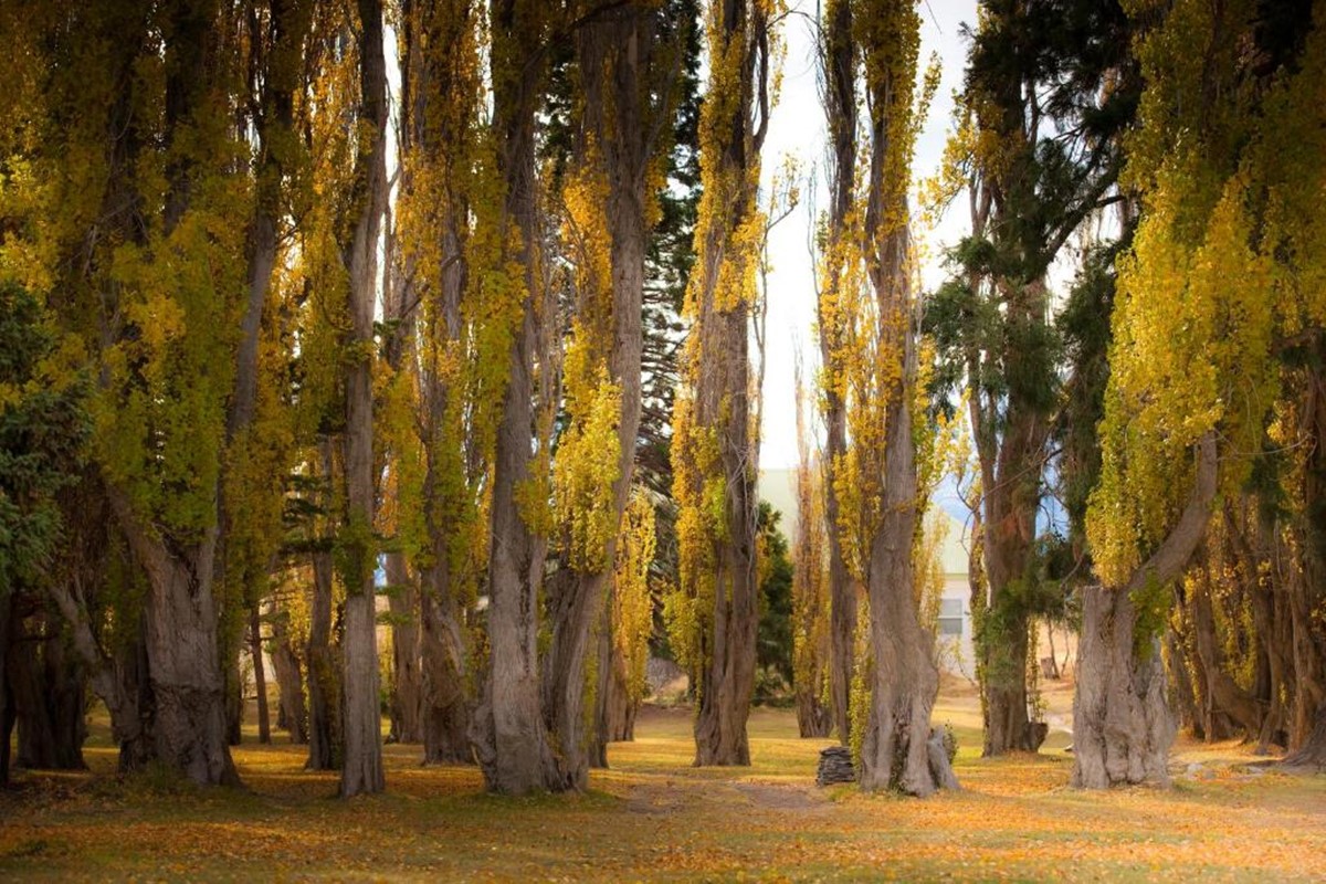 Estancia Cristina en Calafate