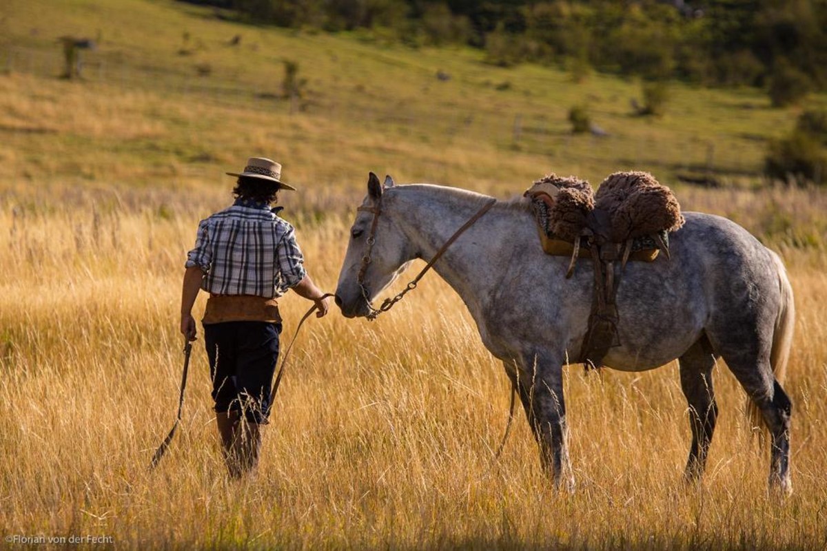 Estancia Nibepo Aike en Calafate