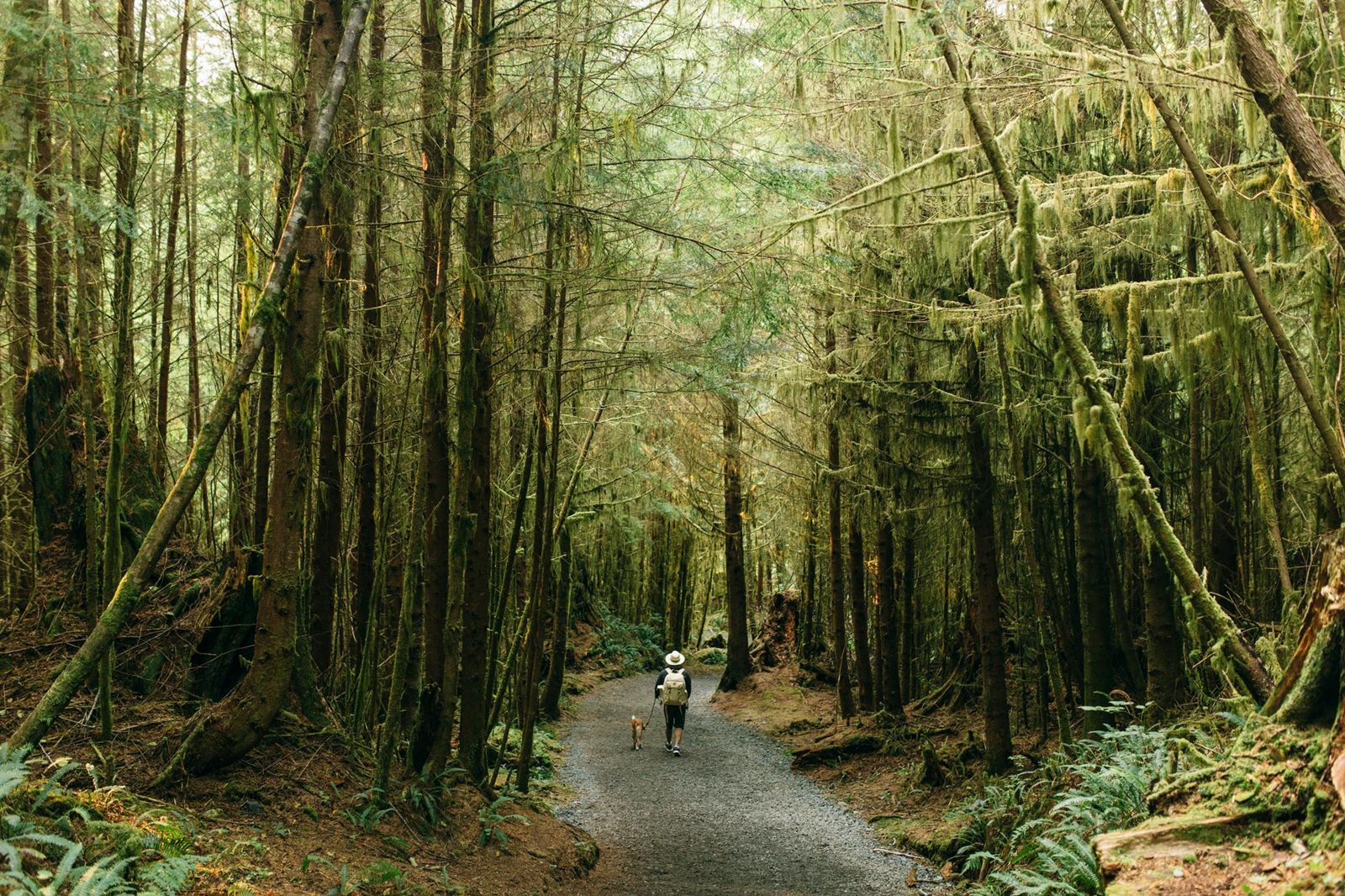 Dent Island Lodge en Canada