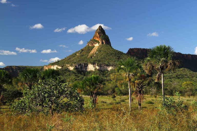 Chapada dos Veadeiros | LAT.40