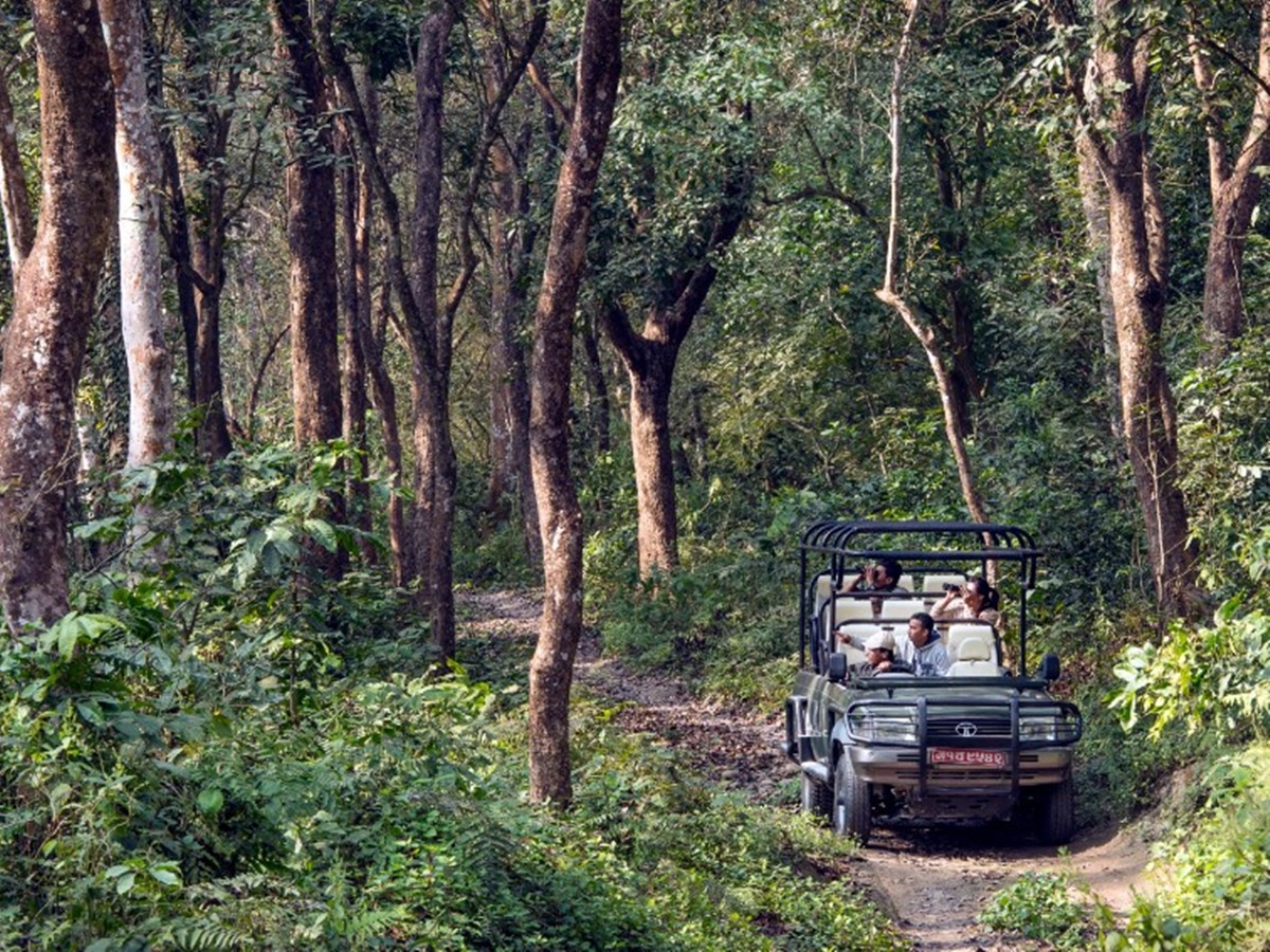 Meghauli Serai A Taj Safari  en Chitwan National Park