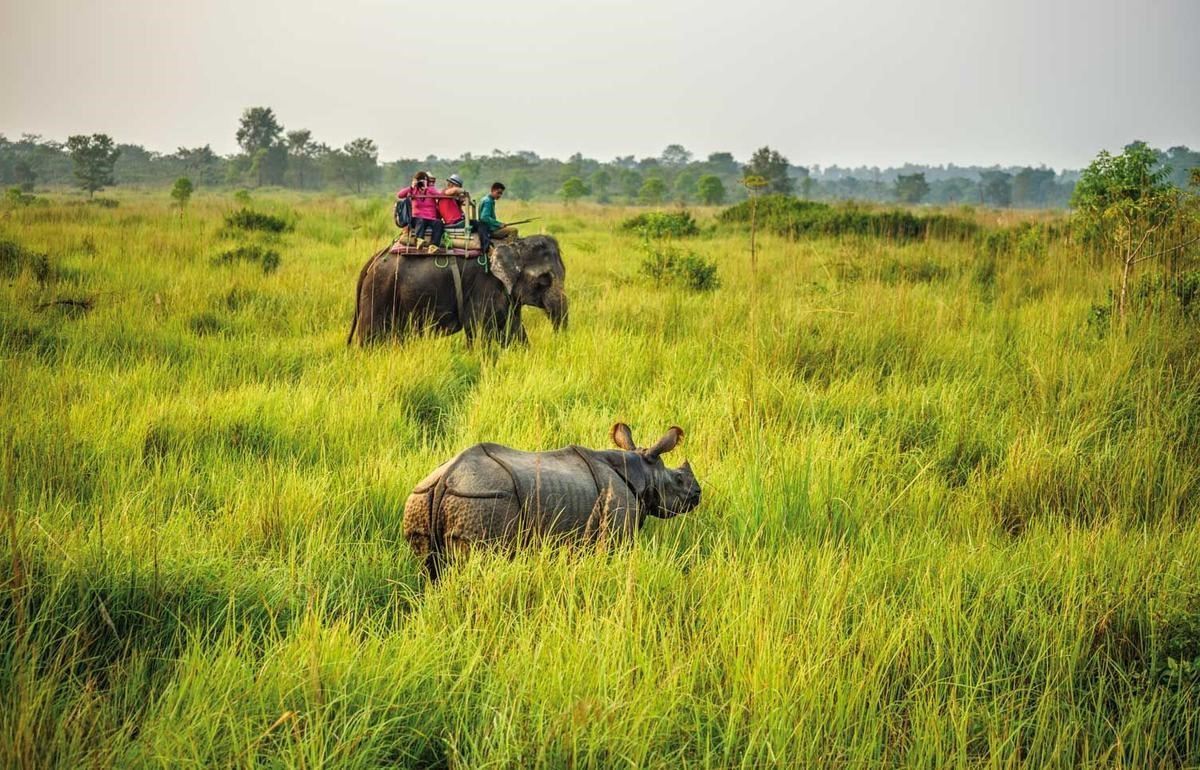 Chitwan National Park | LAT.40