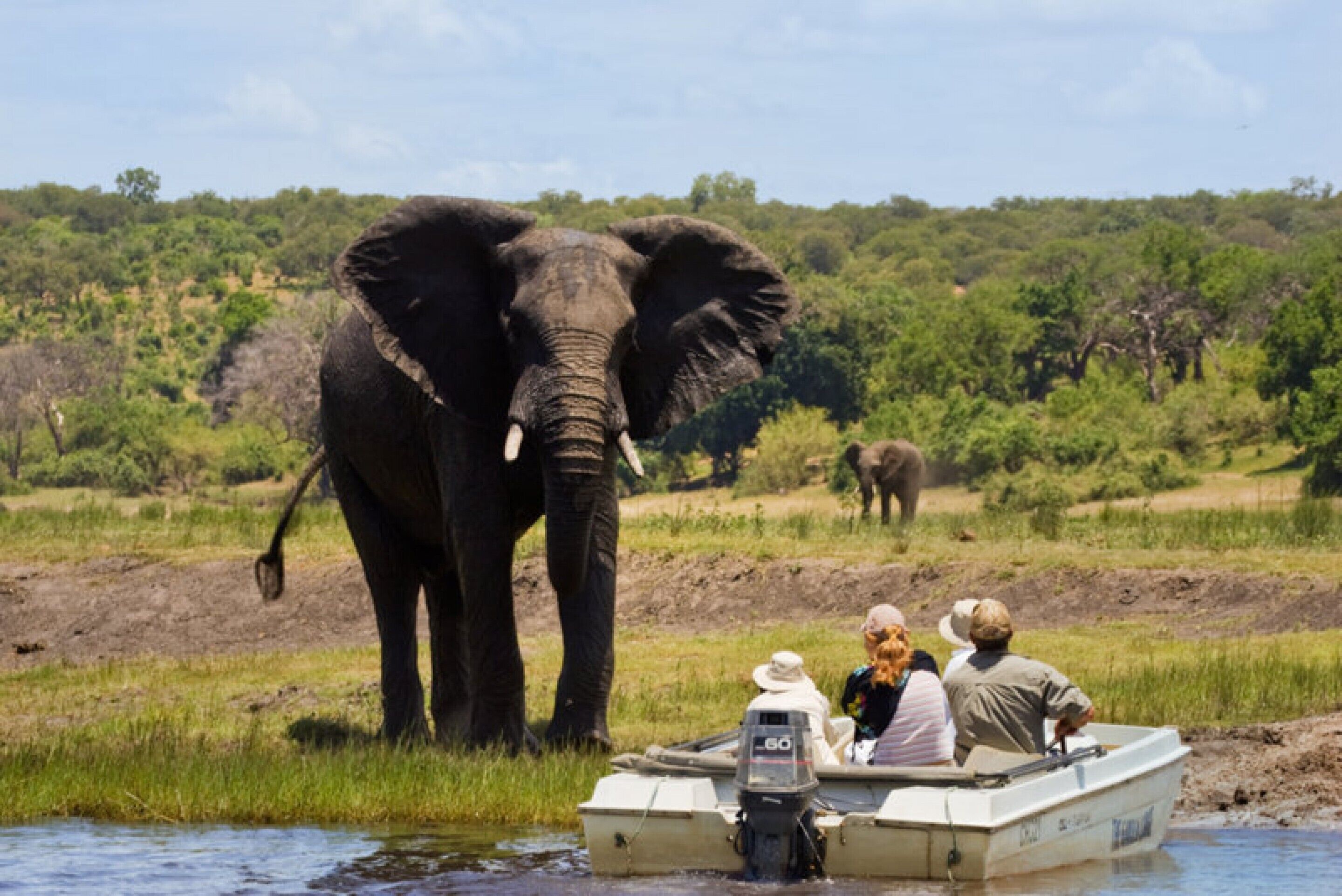 Chobe River Lodge en Chobe