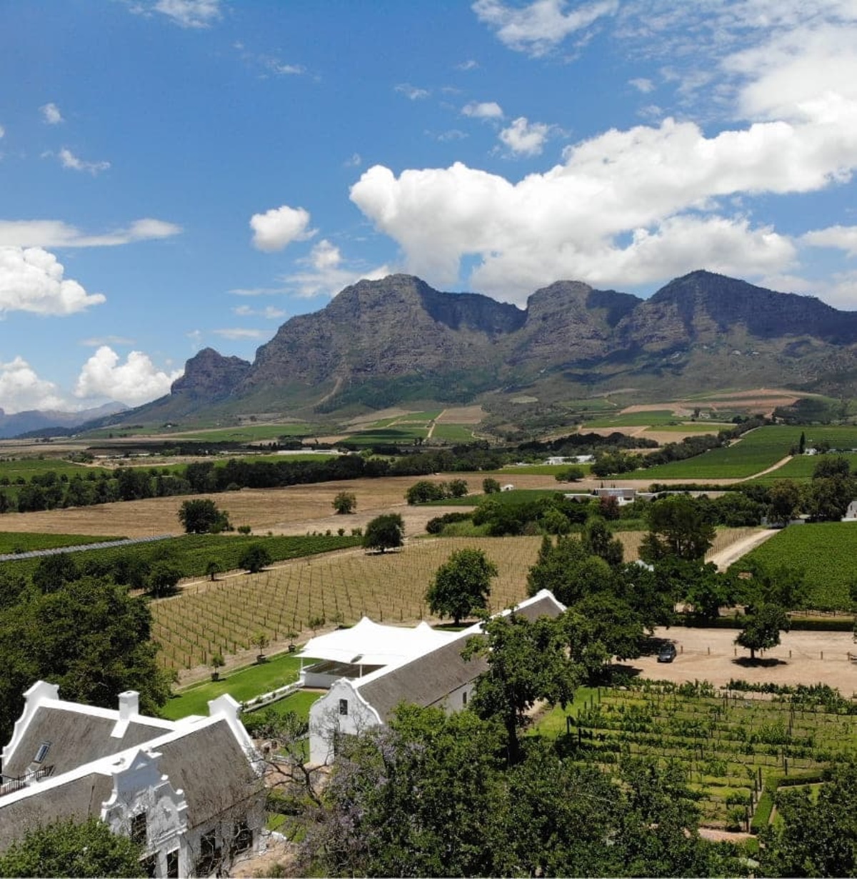 Vrede en Lust Wine Estate en Franschhoek