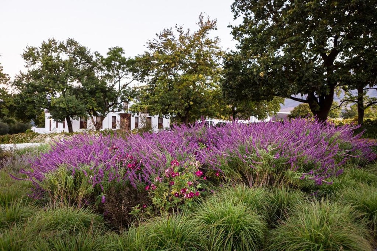 Vrede en Lust Wine Estate en Franschhoek