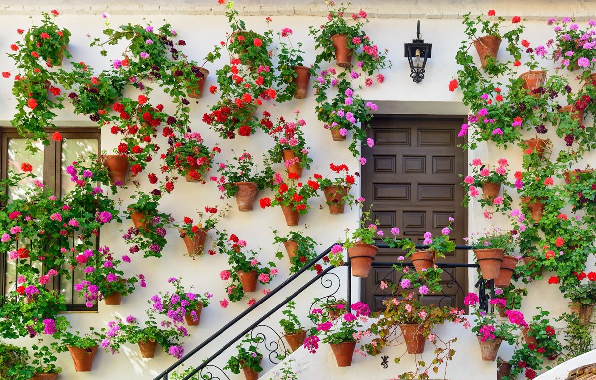 Córdoba | LAT.40
