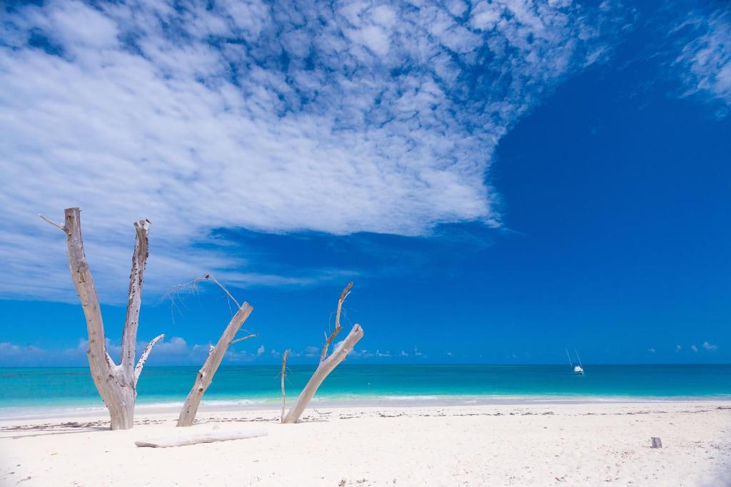 Denis Private Island en Denis Island