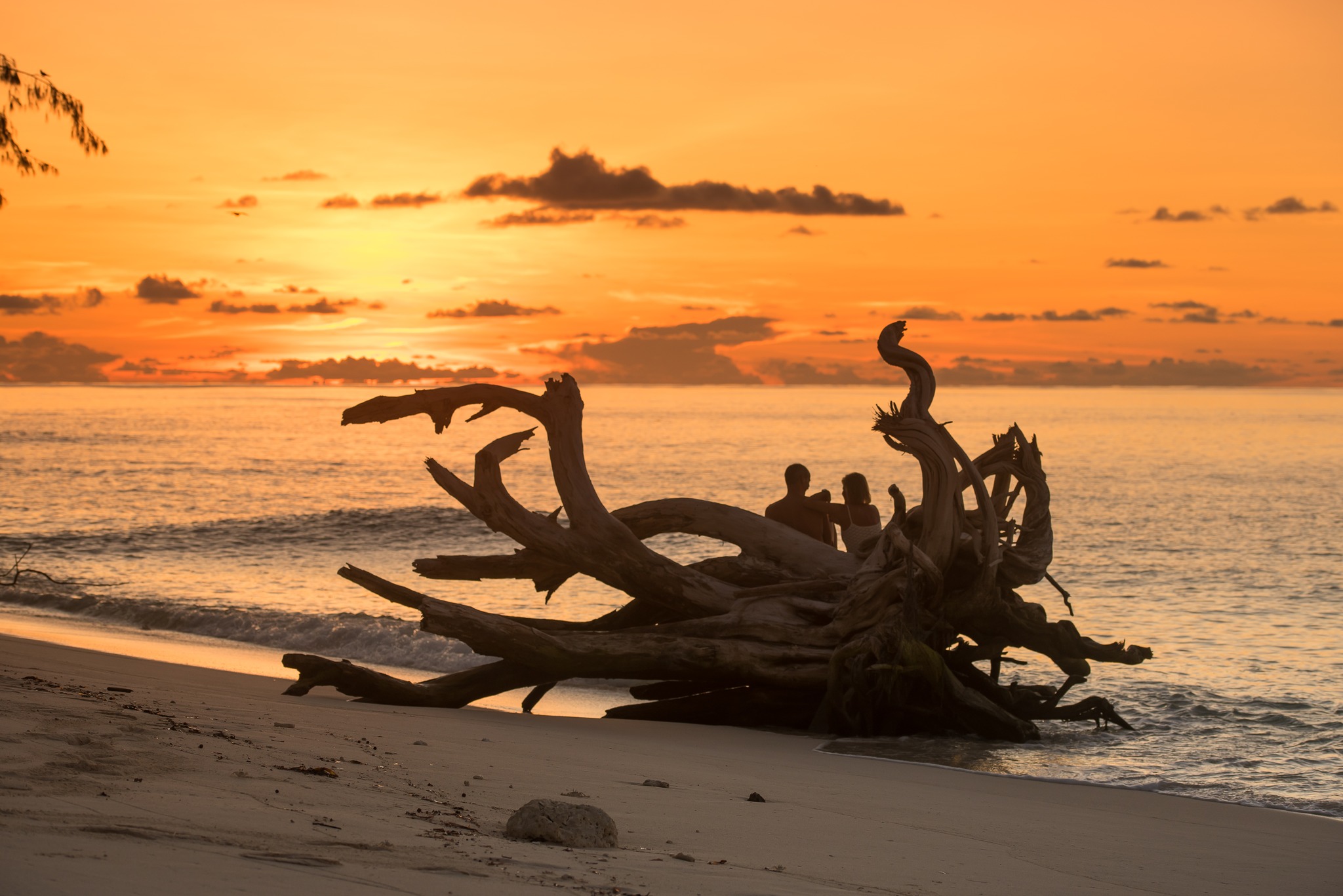 Denis Private Island en Denis Island