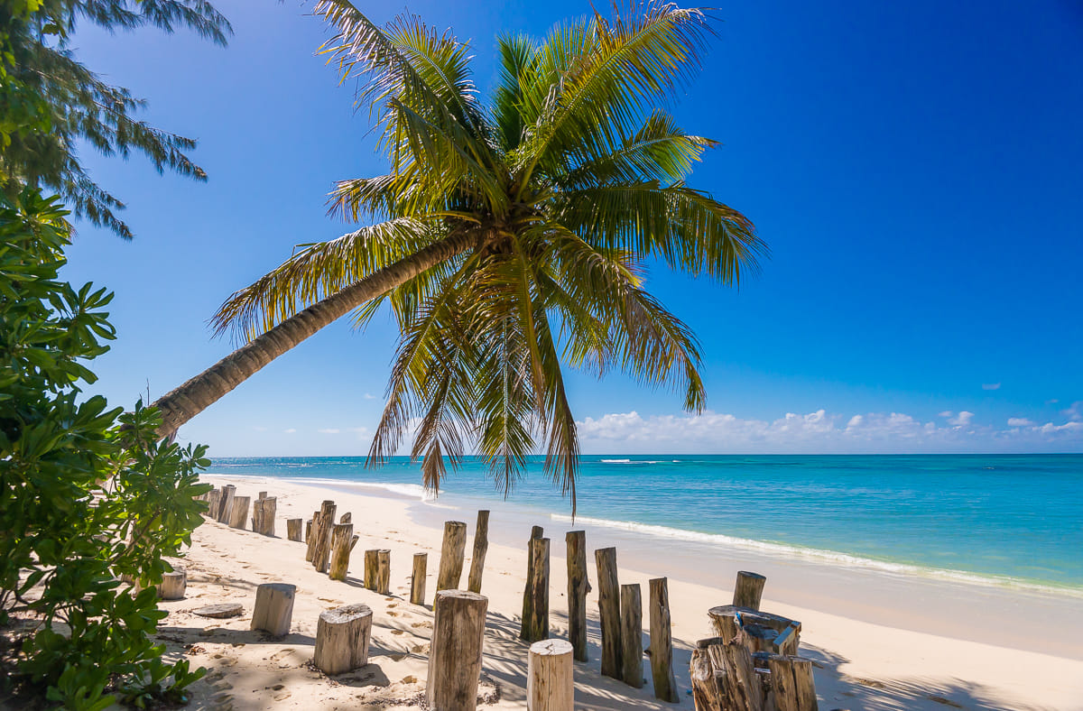 Denis Private Island en Denis Island