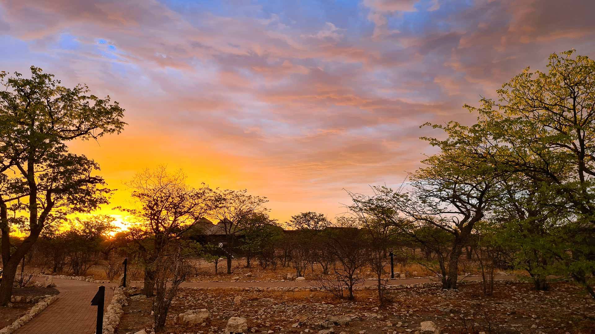Etosha Oberland Lodge en Etosha Parque Nacional 