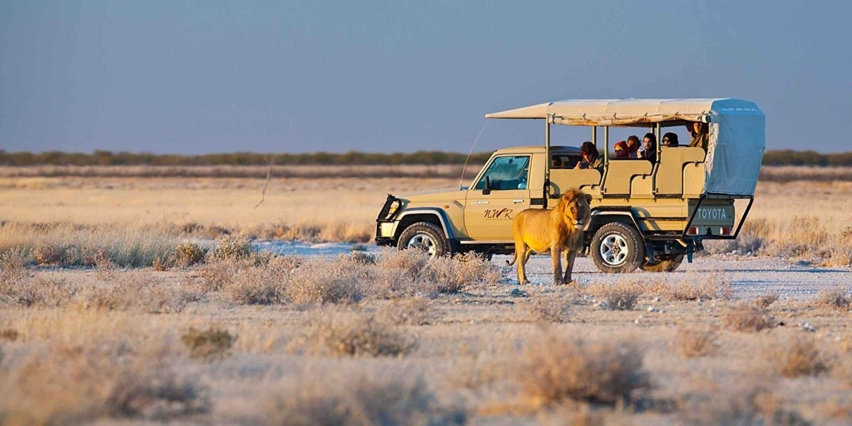 Etosha Parque Nacional  | LAT.40